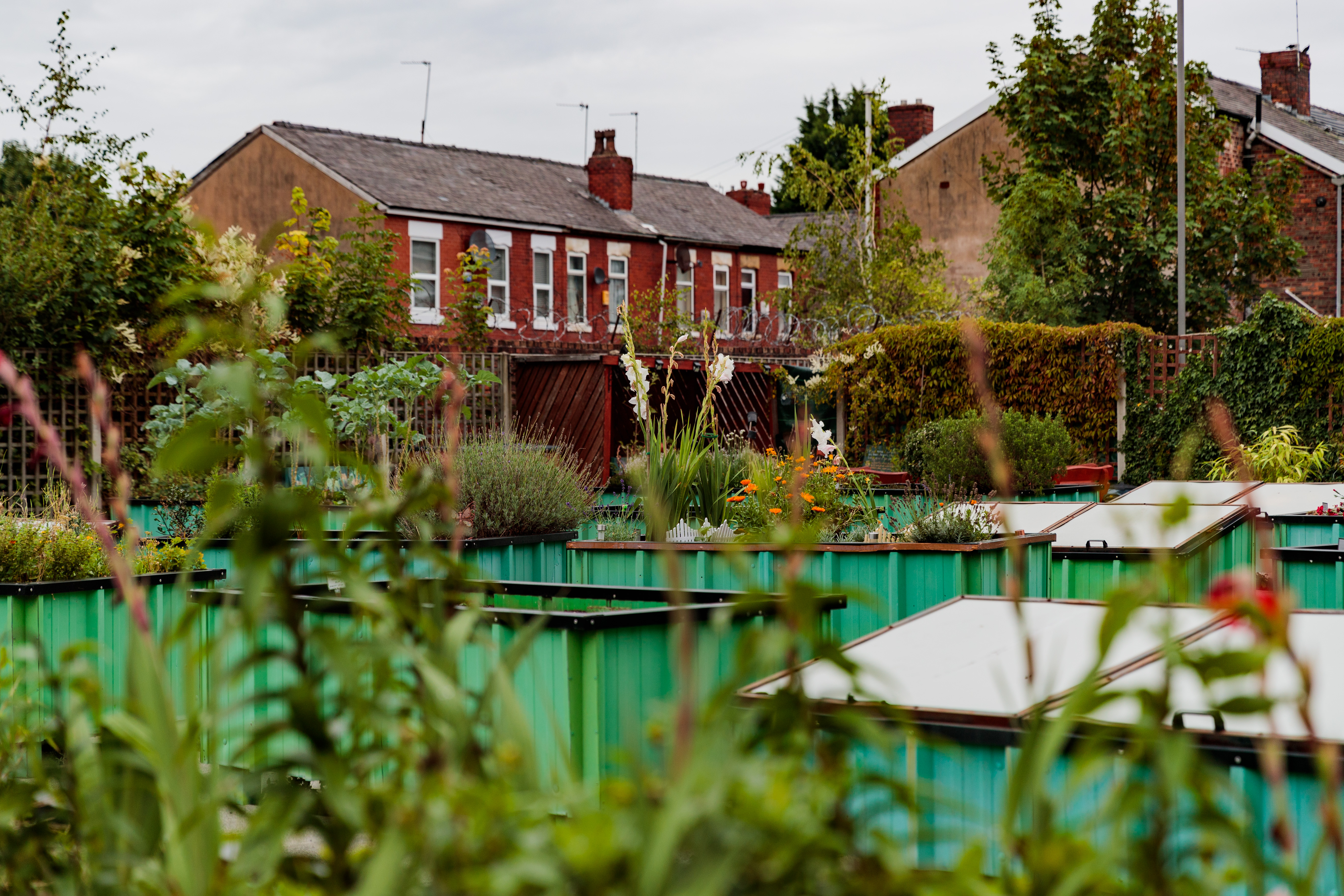 Developments picture of gardens