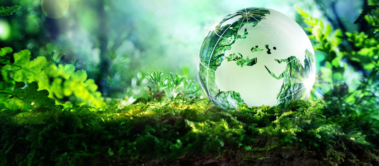 Image of green leaves and plants with miniature globe 