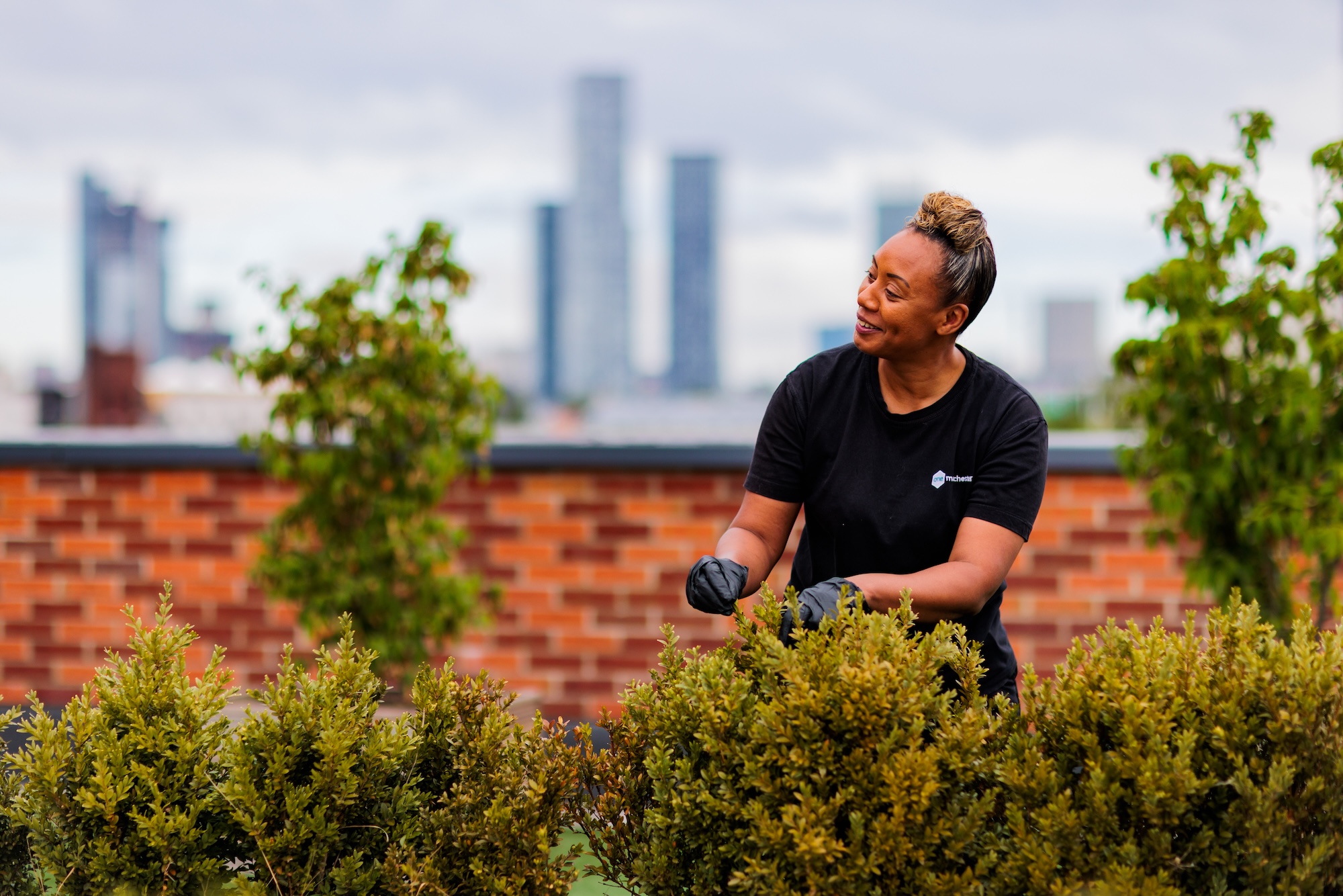 A one Manchester colleague working on a development trimming a hedge. The woman is wearing a One Manchester unifrom and the Manchester high rises are in the background. 