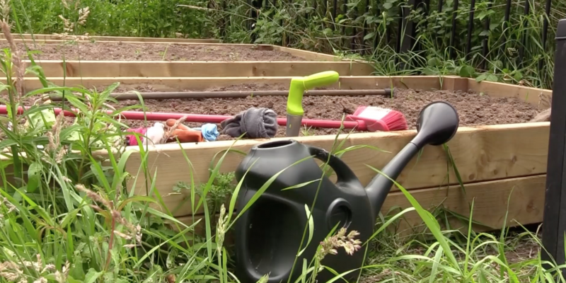 community gardens
