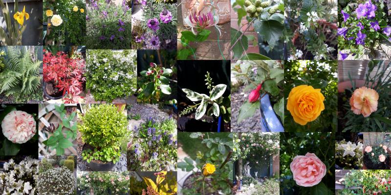 Gardens Garden