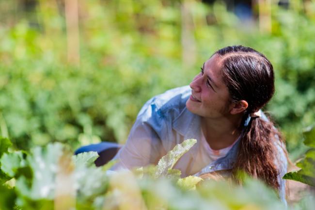 Customer doing gardening