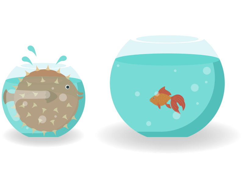 Cartoon of a big fish in a small fishbowl and a small fish in a large fishbowl